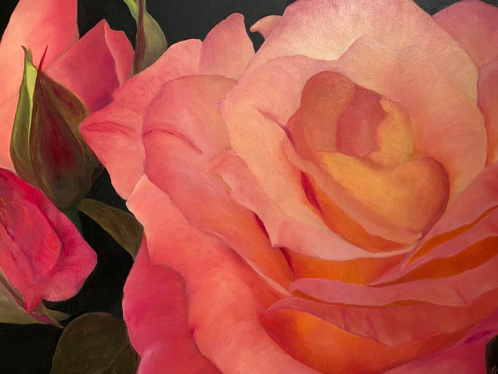 Close up painting of a light pink rose blooming