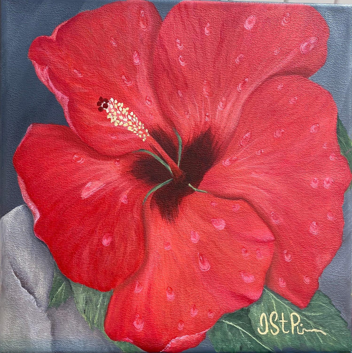Red hibiscus flower painted on grey background