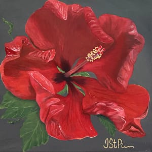 Close up painting of large red hibiscus flower