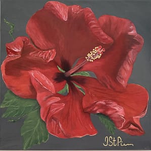 Close up painting of large red hibiscus flower