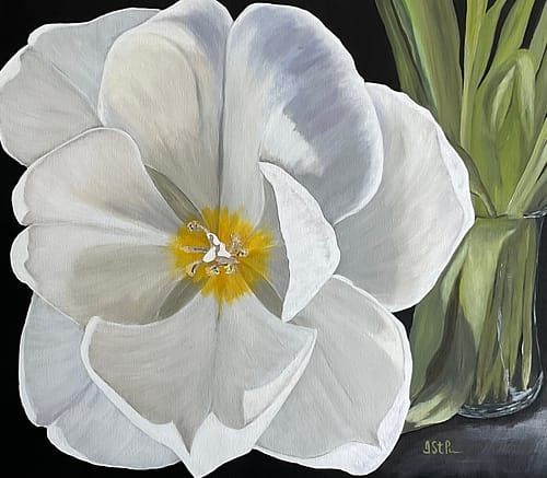 A painting of a large open white tulip reaching out from a glass vase