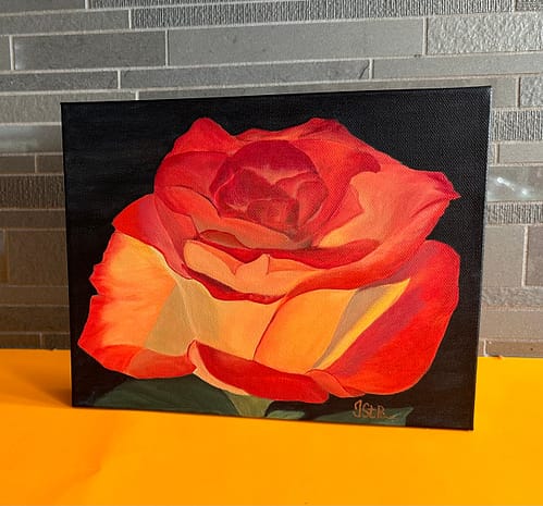 A painting of a beautiful red and orange rose bloom on a dark background