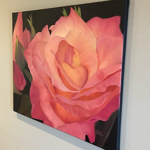 Close up painting of a light pink rose blooming
