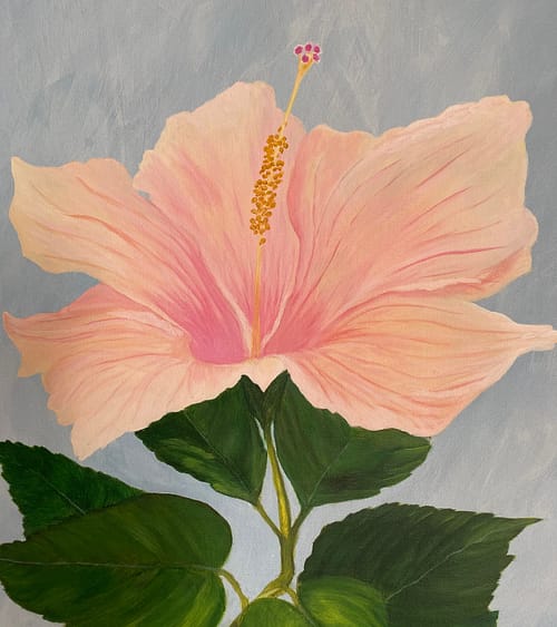 Painting of large light pink hibiscus flower