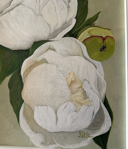 A painting of white peony blossoms framed in white with a pale green background
